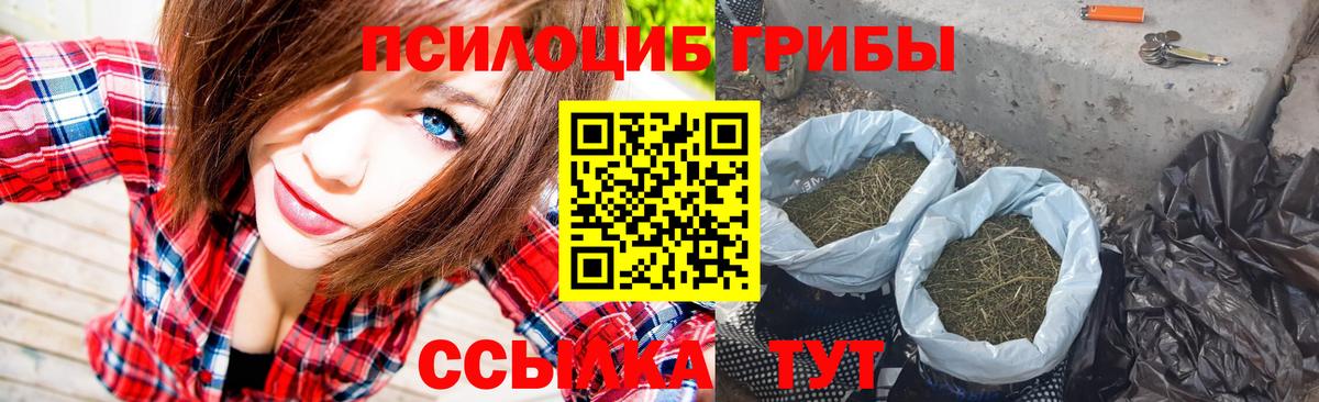 Галлюциногенные грибы Cubensis Каспийск